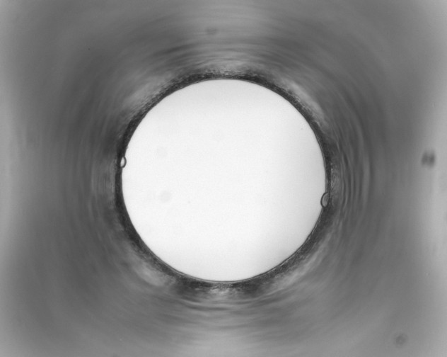 X0000090410493200708101923