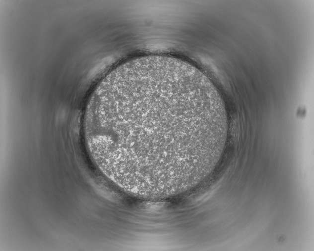 X0000090410495200708101923