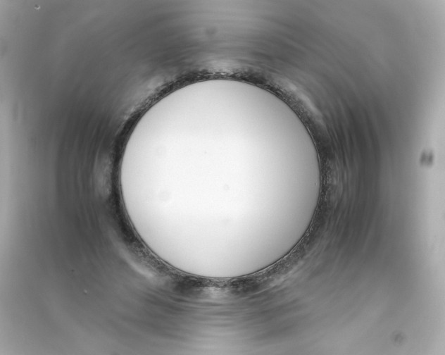 X0000090410496200708101923