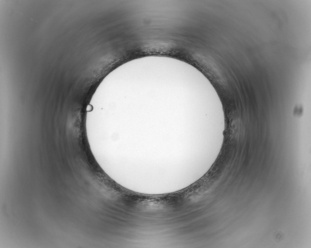 X0000090410498200708101923