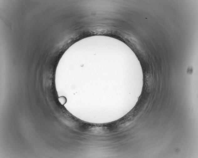 X0000090410499200708101923