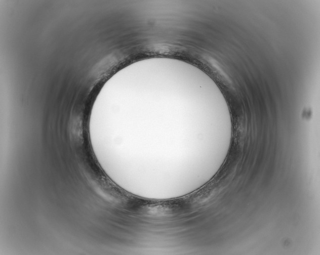 X0000090410500200708101923