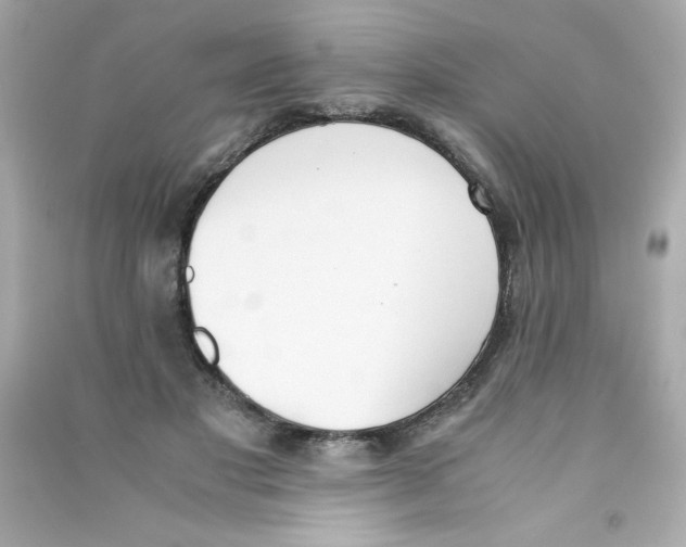 X0000090410501200708101923