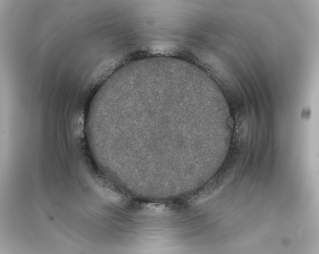 X0000090410502200708101923