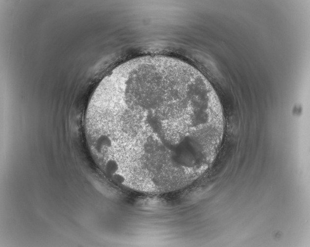 X0000090410503200708101923
