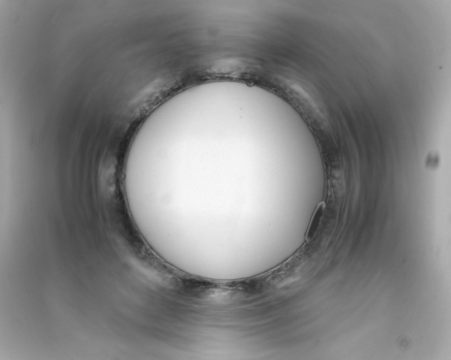 X0000090410504200708101923