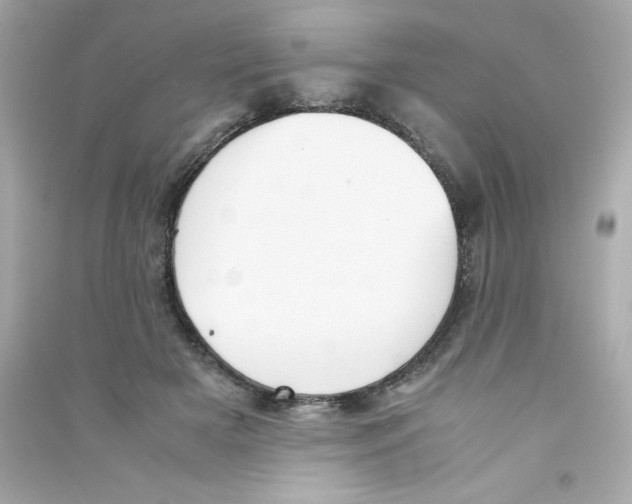 X0000090410505200708101923