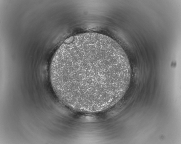 X0000090410506200708101923
