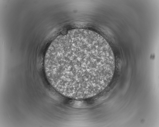 X0000090410507200708101922