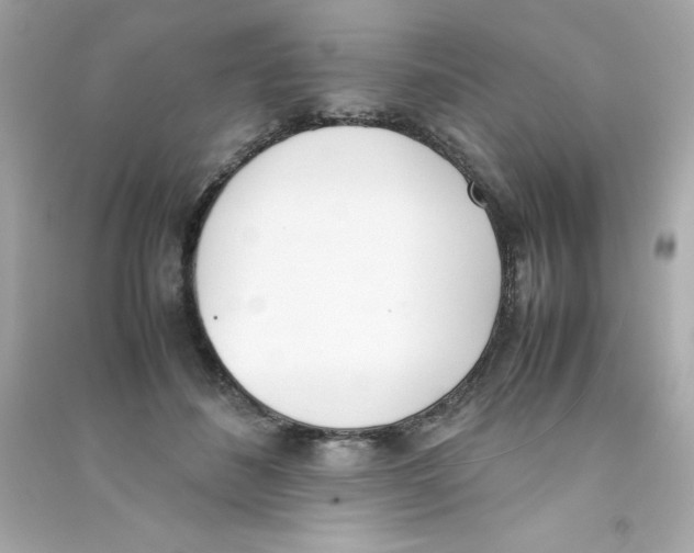 X0000090410508200708101922
