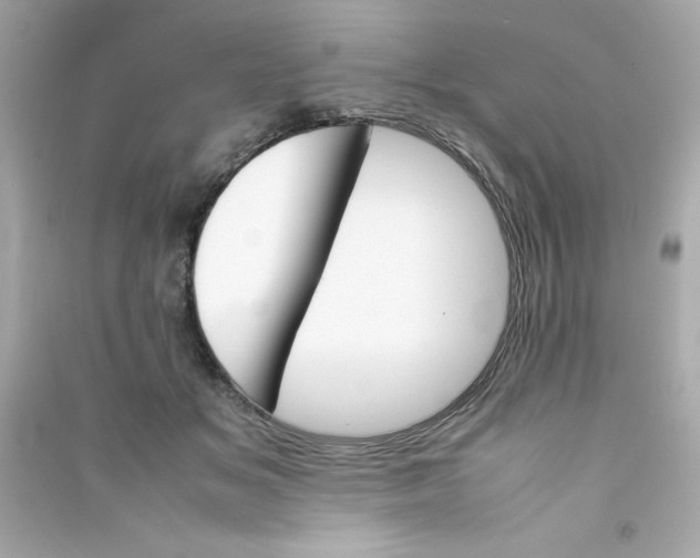 X0000090410509200708101922