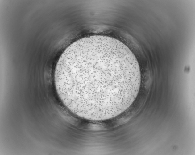 X0000090410510200708101922