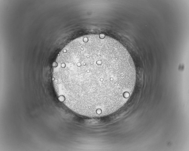X0000090410511200708101922