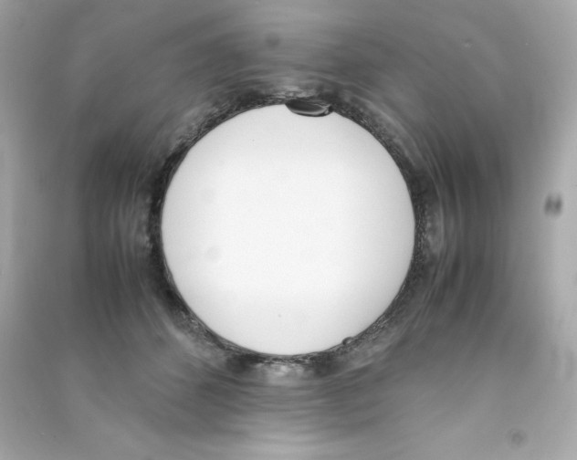 X0000090410512200708101922