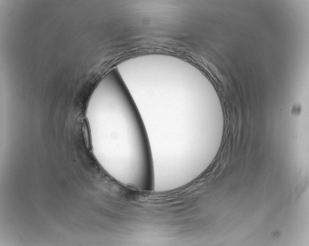 X0000090410513200708101922