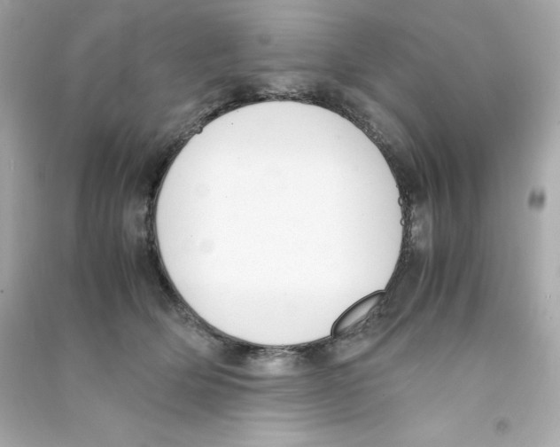 X0000090410514200708101922