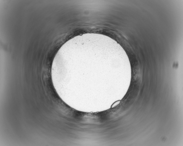 X0000090410515200708101922