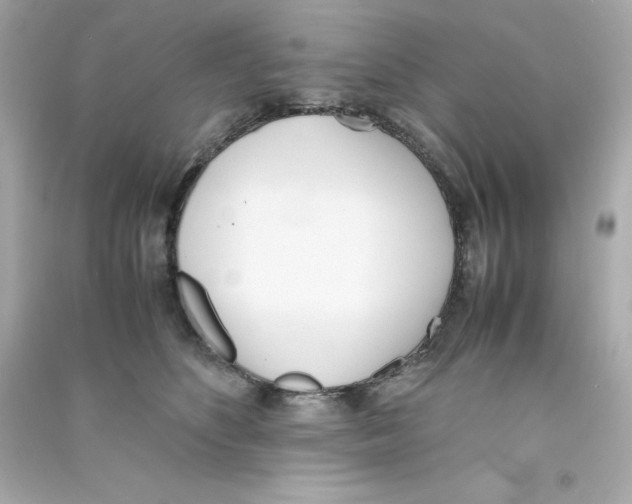 X0000090410516200708101922