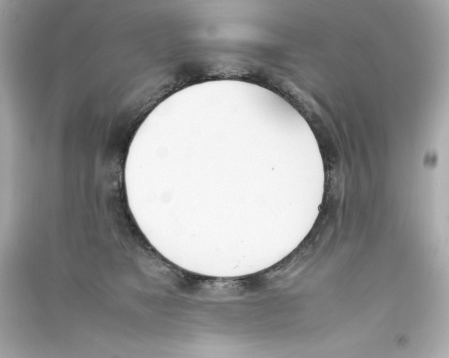 X0000090410517200708101922