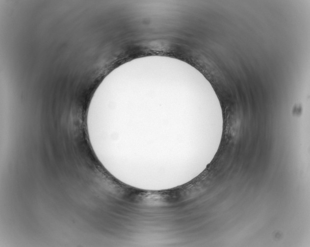 X0000090410518200708101922