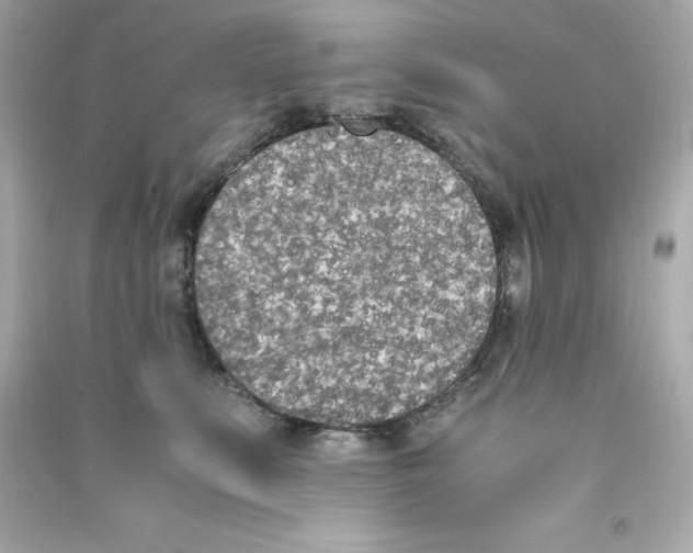 X0000090410519200708101922