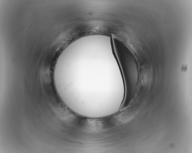 X0000090410520200708101922