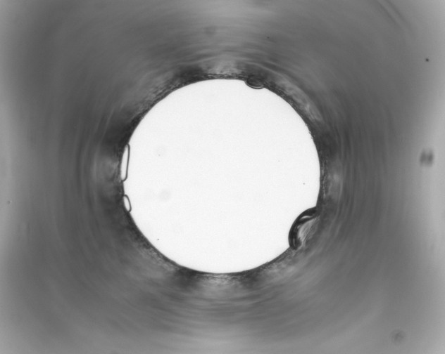 X0000090410521200708101922