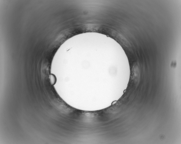 X0000090410522200708101922