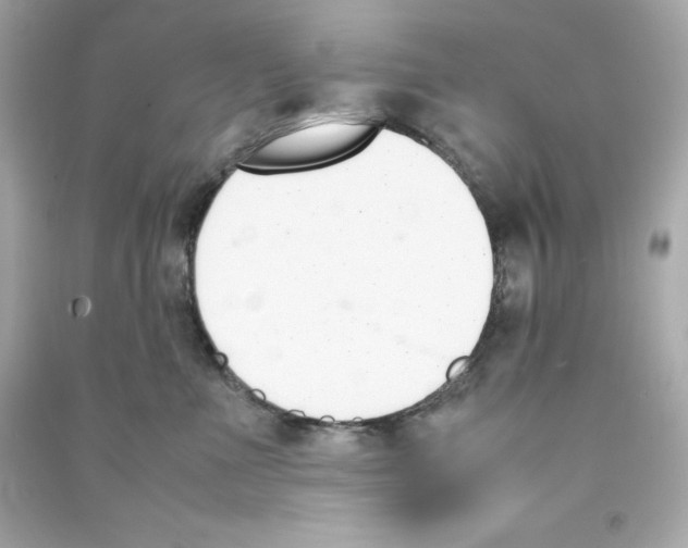X0000090410523200708101922