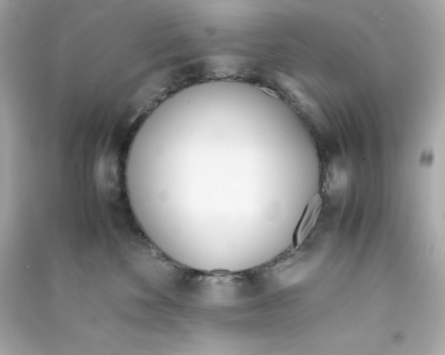 X0000090410524200708101922