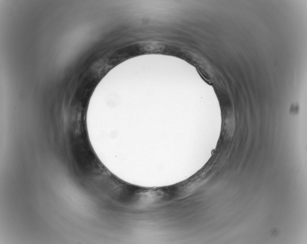 X0000090410525200708101922