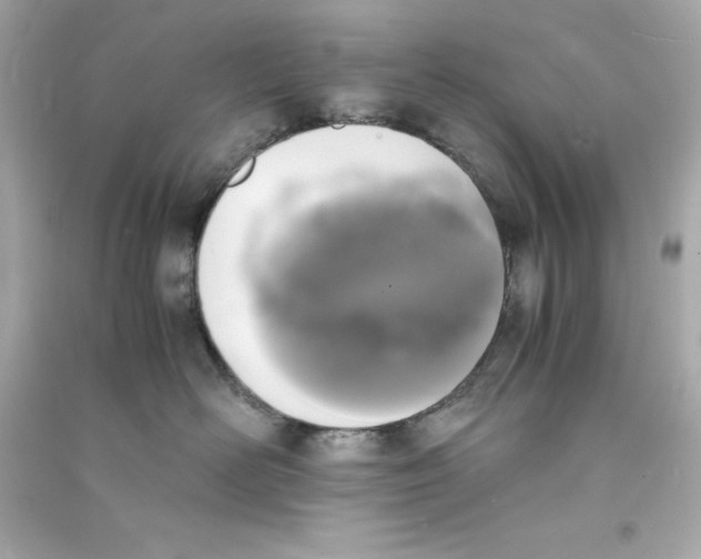 X0000090410526200708101922