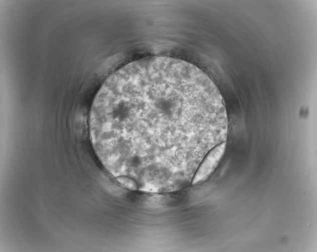 X0000090410527200708101922