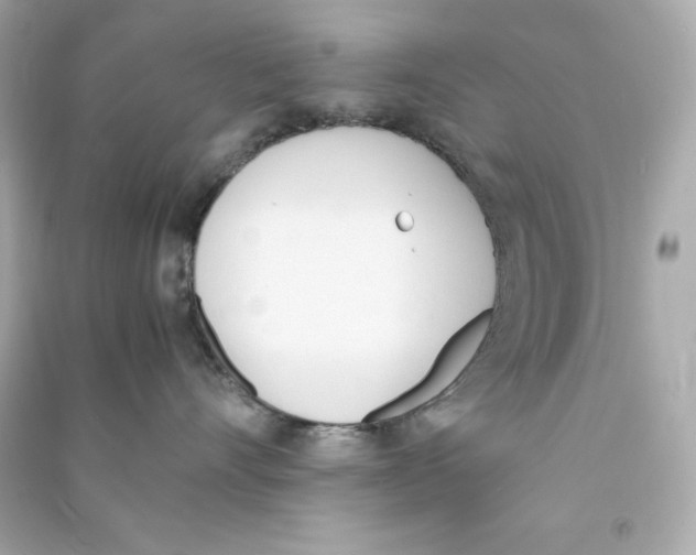X0000090410528200708101922