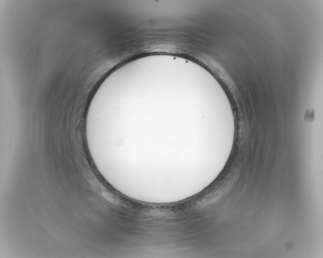 X0000090410529200708101921