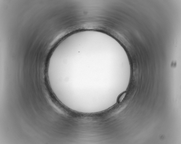 X0000090410530200708101921
