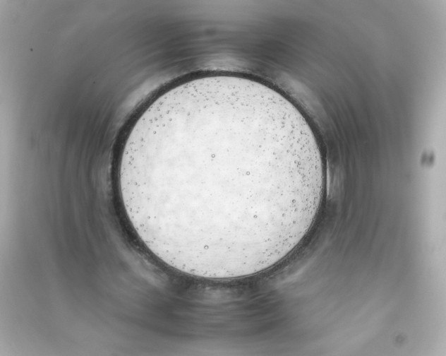X0000090410531200708101921