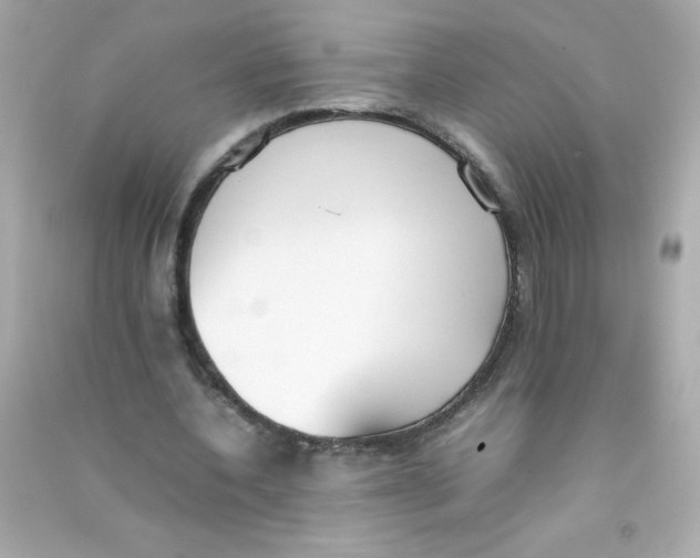 X0000090410532200708101921