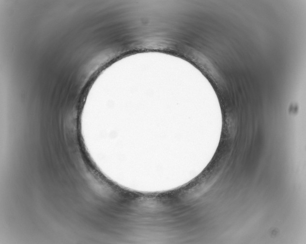 X0000090410534200708101921