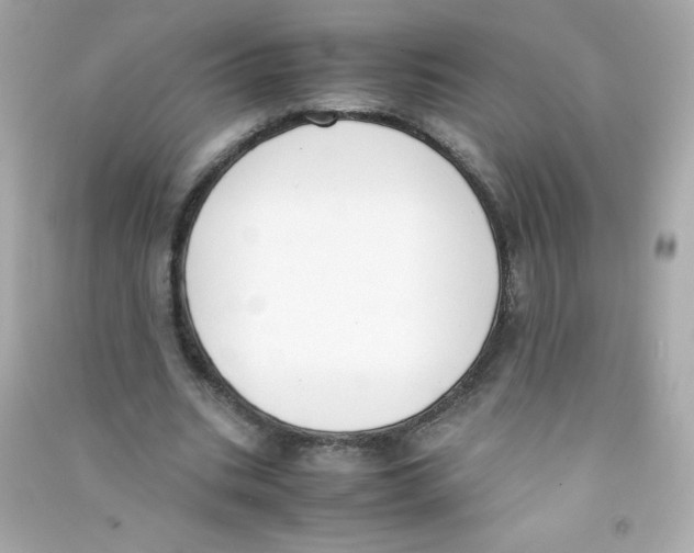 X0000090410535200708101921