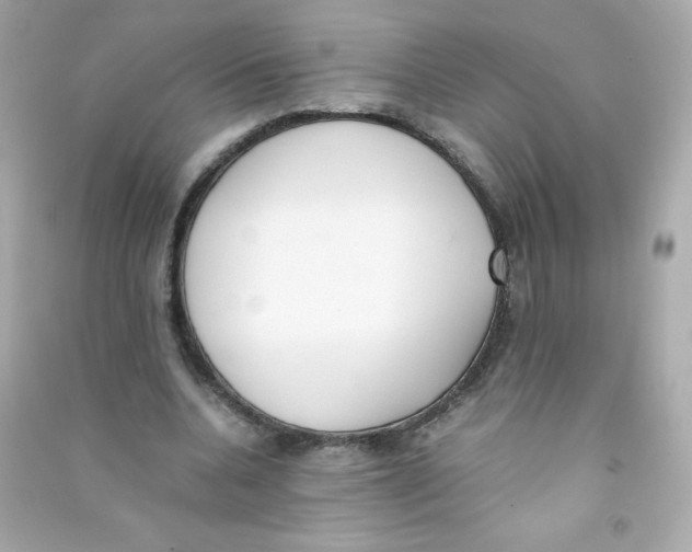 X0000090410536200708101921