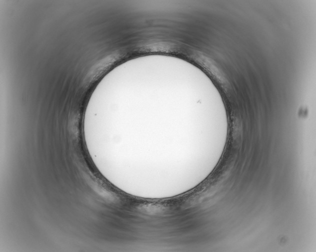 X0000090410537200708101921