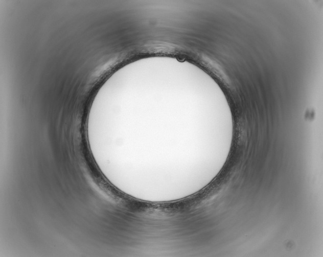 X0000090410538200708101921