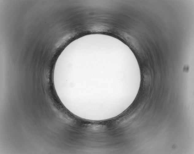 X0000090410539200708101922