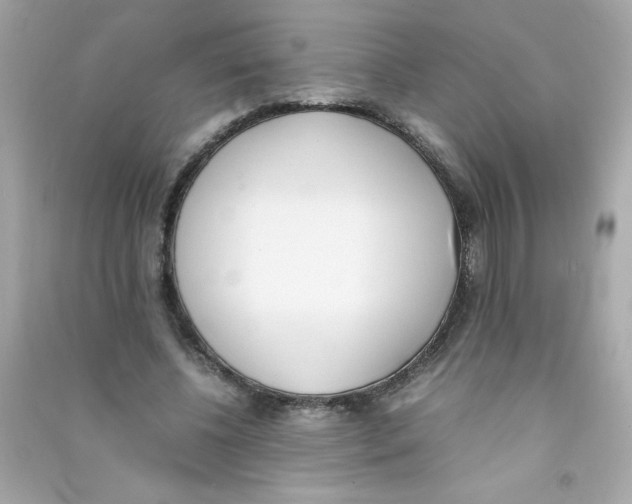 X0000090410540200708101922