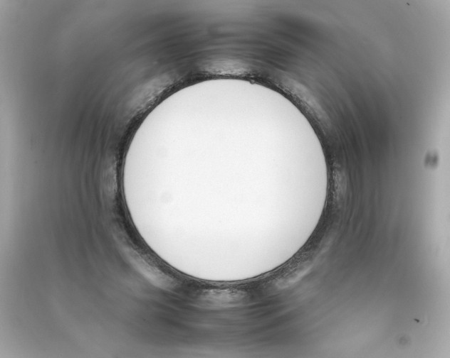 X0000090410541200708101922