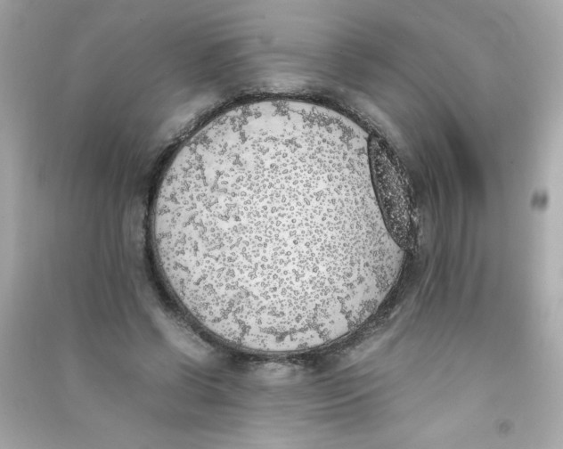 X0000090410542200708101922