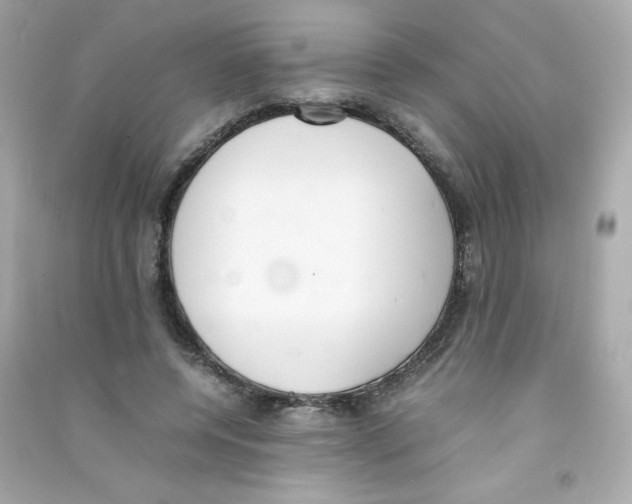 X0000090410544200708101922