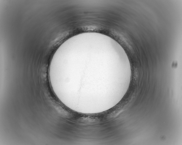 X0000090410545200708101922