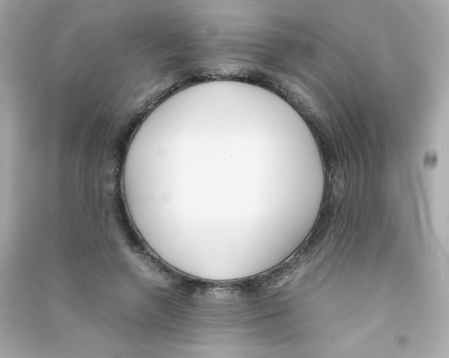 X0000090410546200708101922
